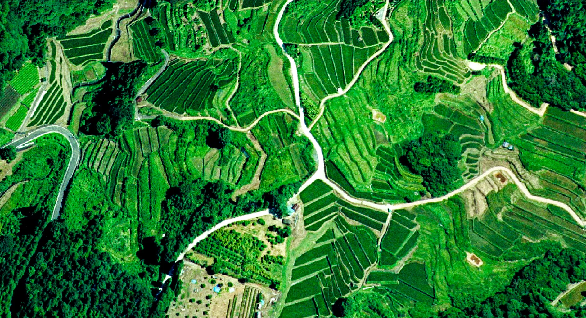 COMMUNITY ENGAGEMENT 社会貢献活動紹介