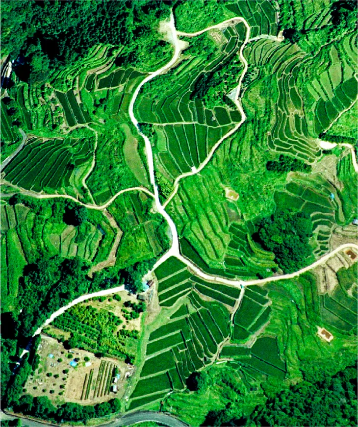 COMMUNITY ENGAGEMENT 社会貢献活動紹介